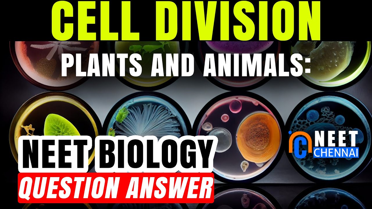 What is the Difference between Plant and Animal 