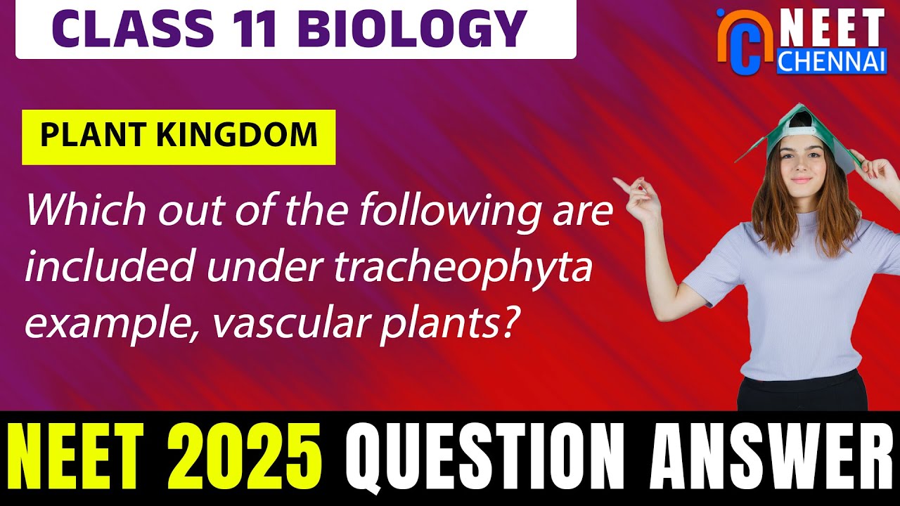 11th Biology Plant Kingdom - Tracheophyta example, vascular plants?